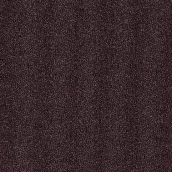  03 Millennium Nxtgen